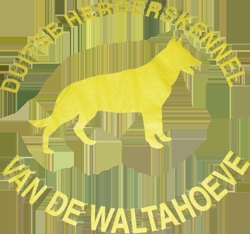 Van de Waltahoeve